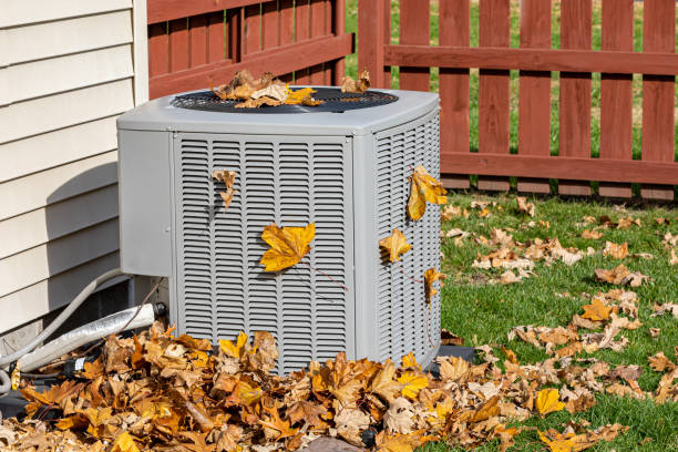 Best Air Quality Test  in Cherokee, IA